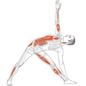alongamento postural